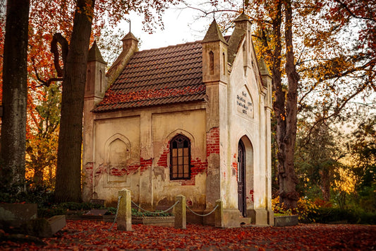 une-petite-eglise-au-milieu-dune-foret-3OW68zz6VkM