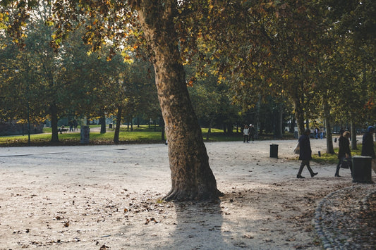 un-parc-avec-beaucoup-darbres-et-de-gens-qui-se-promenent-OvWA6z2xPtg