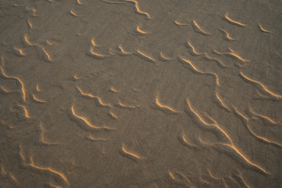 une-plage-de-sable-couverte-de-nombreuses-empreintes-de-pas-0CNrzRNvWKw