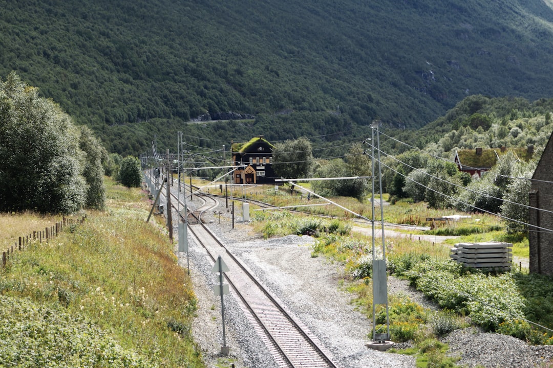 un-train-qui-sillonne-une-campagne-verdoyante-2iIxSwy66Us