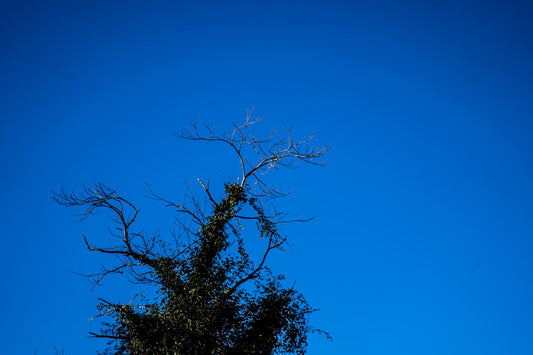 un-panneau-darret-sur-un-poteau-devant-un-ciel-bleu-mnR95olDEys