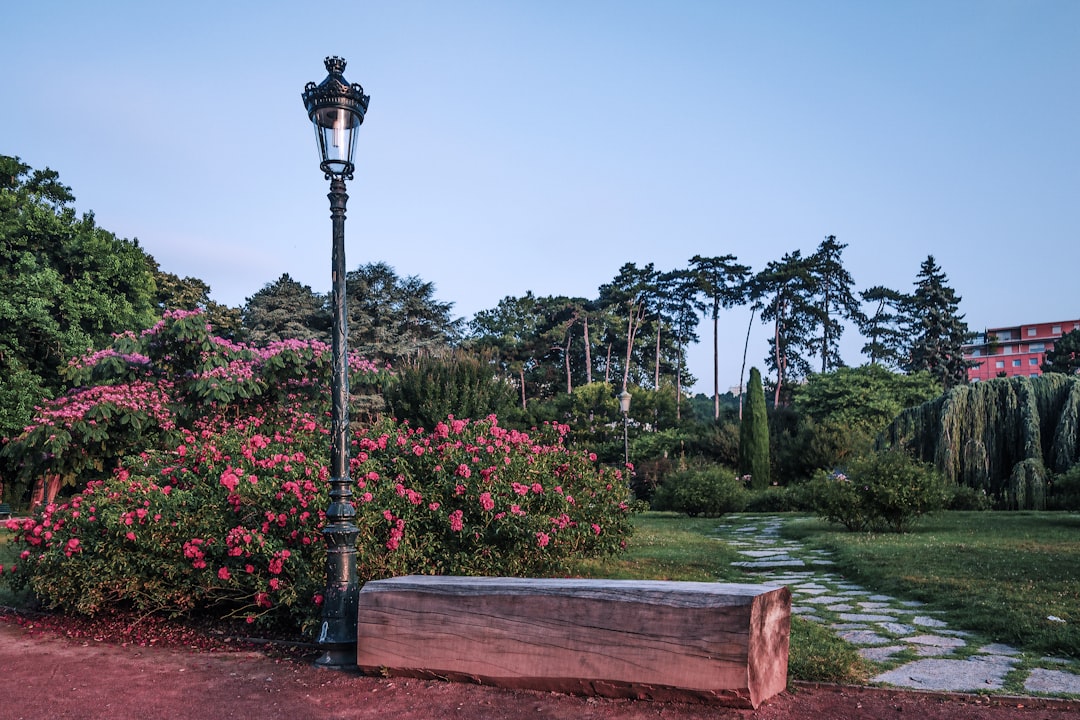 un-banc-en-bois-pose-au-milieu-dun-parc-u7UcGyn1_qs