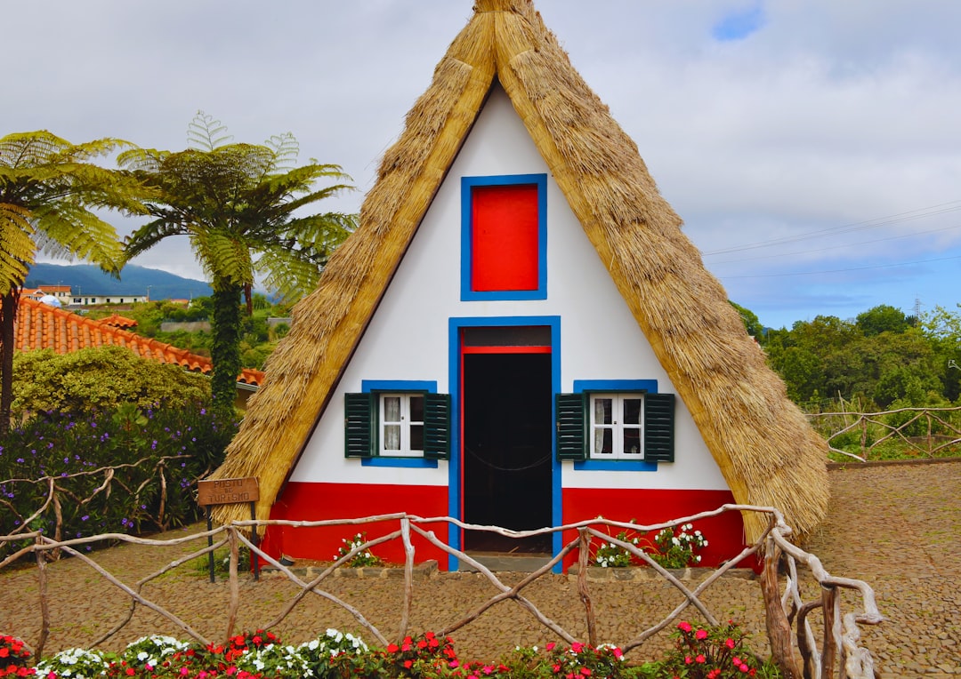 une-petite-maison-avec-un-toit-de-chaume-et-des-garnitures-rouges-blanches-et-bleues-RasfehD4n64