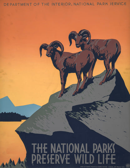 Affiche the national parks preserve wild life