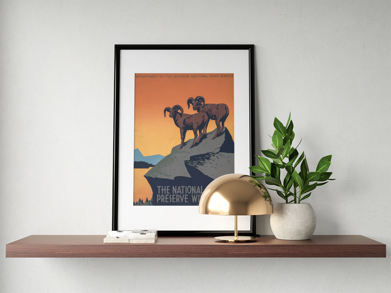 Affiche the national parks preserve wild life