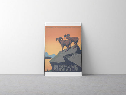 Affiche the national parks preserve wild life