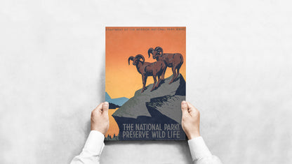 Affiche the national parks preserve wild life