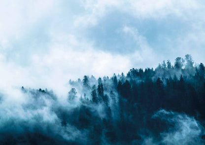 affiche d'une photo d'un paysage de forêt bleuté avec de la brume